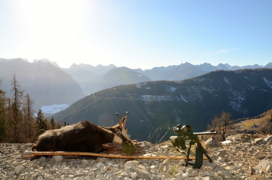 včerajší doprovod