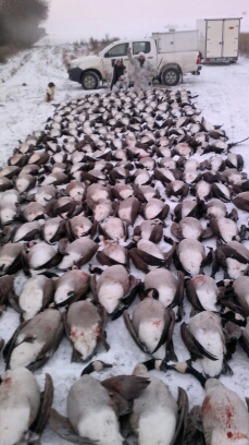 Ej veru, konečne sneh. Tak som si zaspomínal na január 2013