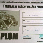 Cvikove FSMP
