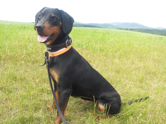 Nikdy na teba nezabudnem! In Memoriam