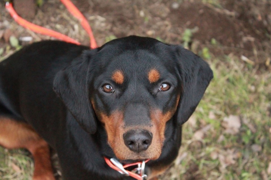 Na Veľkonočných potulkách pod Vtáčnikom