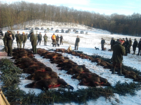 42 kusov v jednom pohone