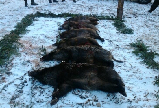 spolocna polovacka na Horehroni