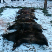 spolocna polovacka na Horehroni