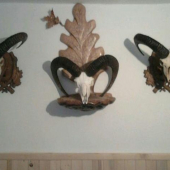 2+1