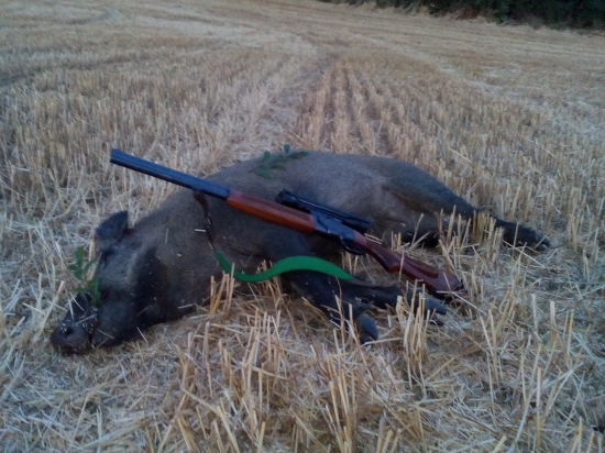 zaciatok dovolenky...