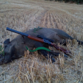 zaciatok dovolenky...