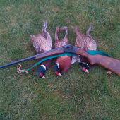 Štefanska polovačka