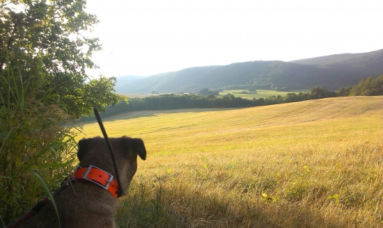 to su tie rana, ktore mam tak rad