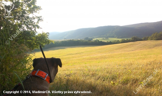 to su tie rana, ktore mam tak rad