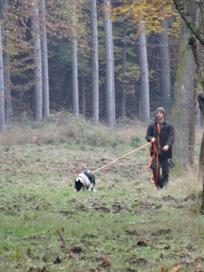 Kareláčka na umelej stope
