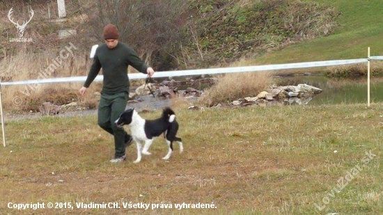 Momentka z výstavy