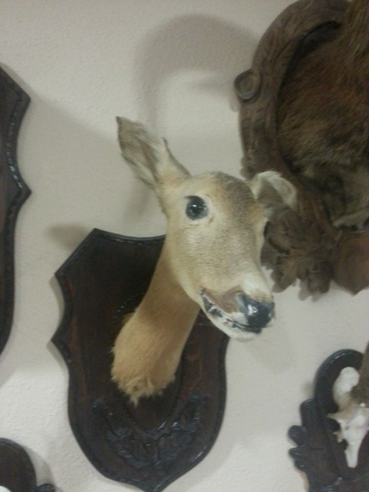 životné dielo :D :)