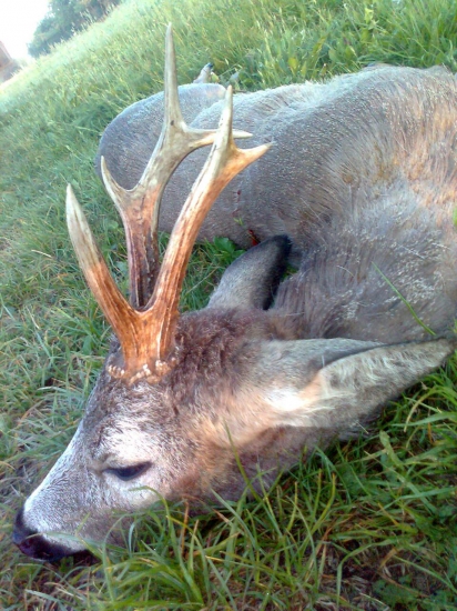 Rariťák z Maďarska