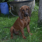 Cora2