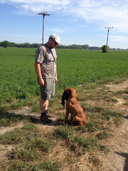 prinášanie škodlivej