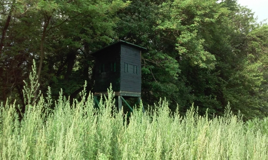 posed č1. na mieste..