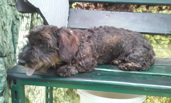 ela z krivinskej skaly