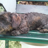 ela z krivinskej skaly