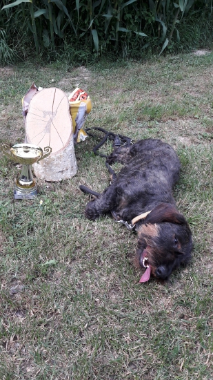 Už po skúškach...