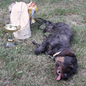 Už po skúškach...