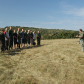 Polovnicky den 2013