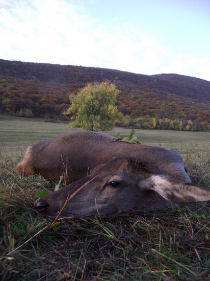 V to jesenné ráno 2