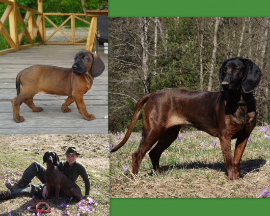 Taká spomienková :)