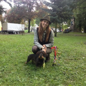 Medzinárodná výstava psov Lučenec