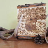 Vypaľovaný medvedík