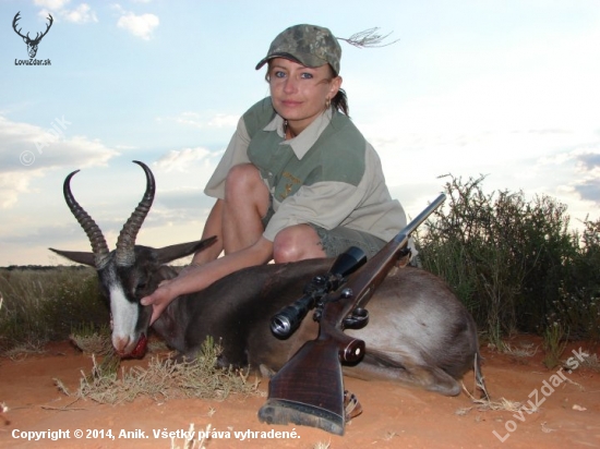 BLACK SPRINGBOK