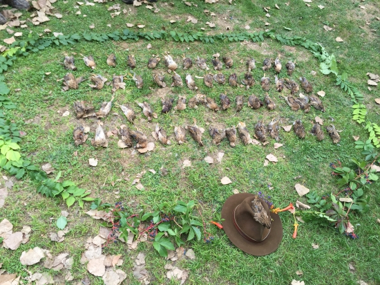 Výsledok rannej poľovačky zo Srbska