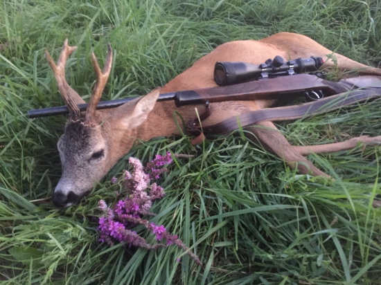 Môj srnec z Maďarska