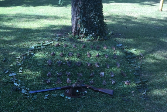 Ranný výrad zo Srbska