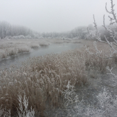 Zima na žitnom ostrove