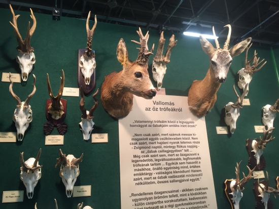 Raritné srnce z výstavy FeHoVa 2017