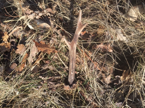 Malá odmena pri plnení soľníkov