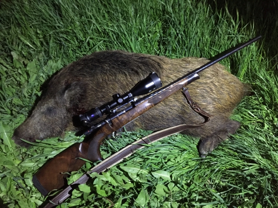 Diviačik z Maďarska