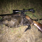Moja prvá Nutria