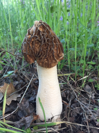 Malé jarné prekvapenie