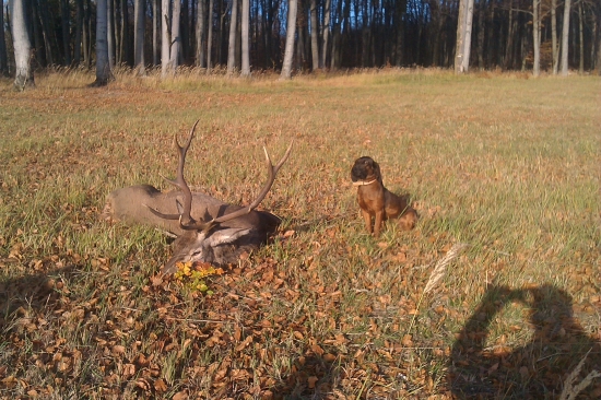 po uspešnej dohladavke