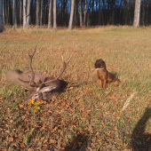 po uspešnej dohladavke