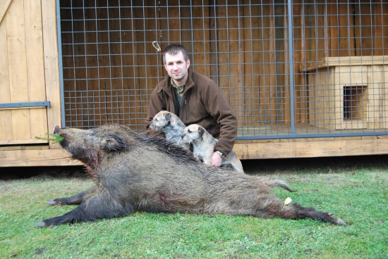 Můj první divočák