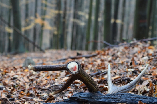 Čerstvo čerstvý :)