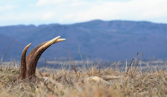 Nezabudnutelný pohľad