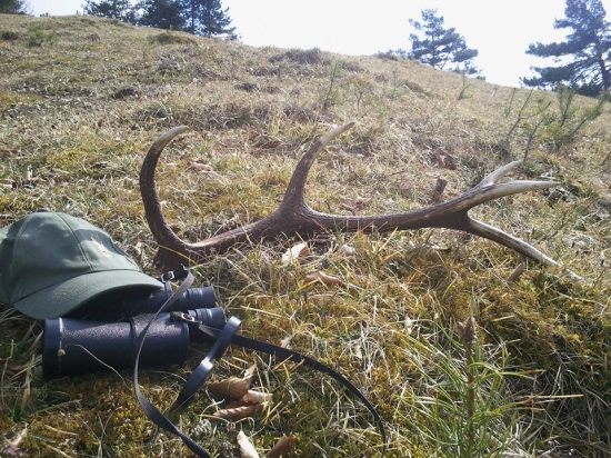 Sa dnes pošťastilo