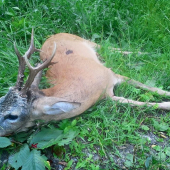 Uspešná vychádzka Lovu Zdar!