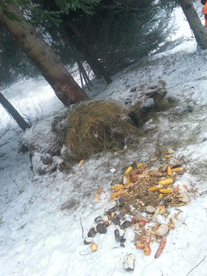 Keď treba pomáhať