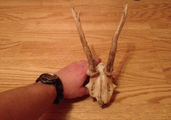 suvenír zo Zádiela