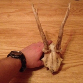 suvenír zo Zádiela